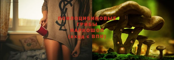 твердый Волоколамск