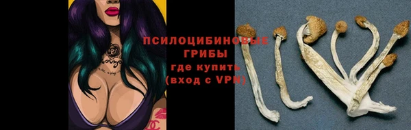 твердый Волоколамск